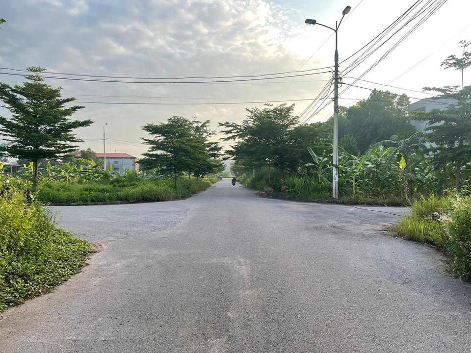 Đất nền Ao Luông Yên Mỹ, Lạng Giang 110m² giá 2.9 tỷ - Cơ hội đầu tư sinh lời!