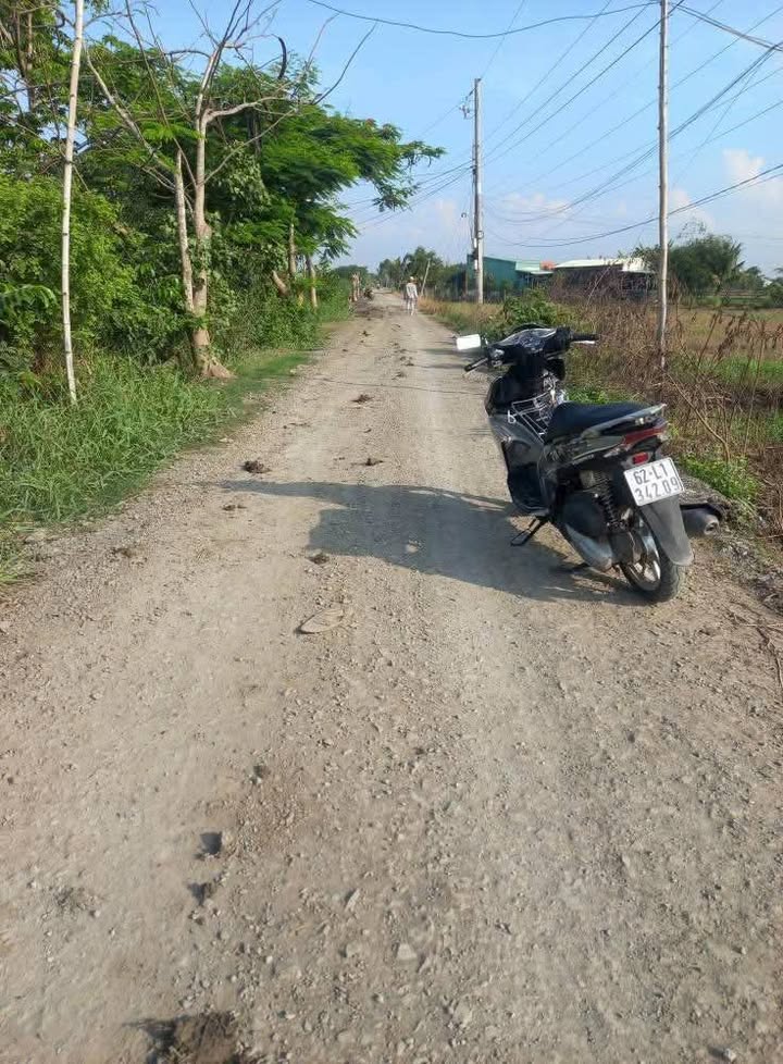 Đất nền Tân Lân, Cần Đước 1000m² giá 3.7 tỷ - Lô góc 2 mặt tiền