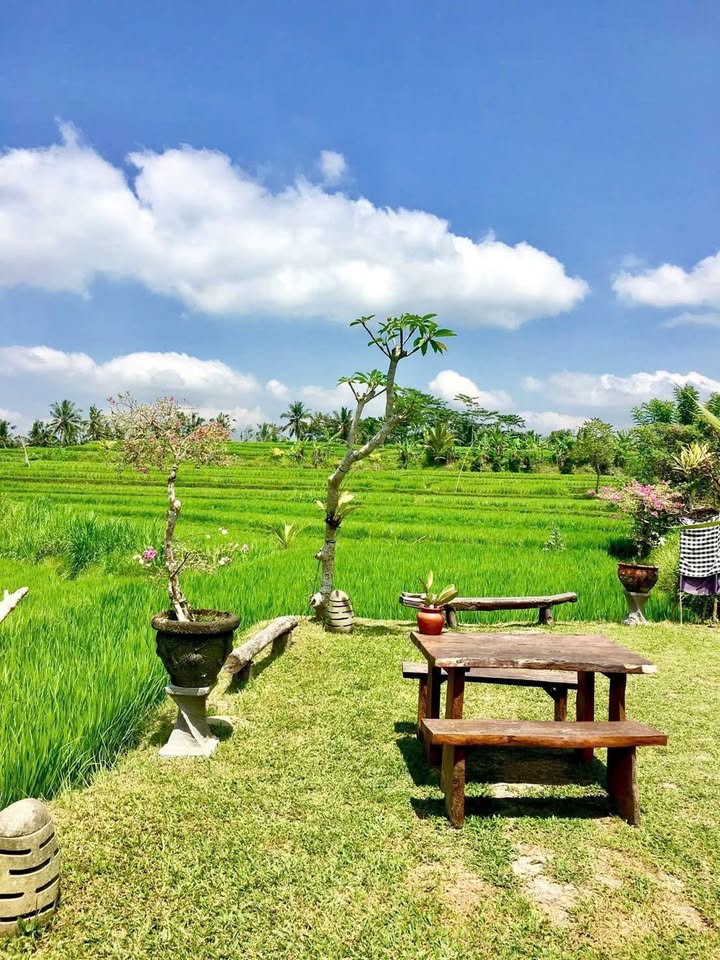 Đất nền 1.000m² xã Tân Trạch, Cần Đước - Giá chỉ 3 tỷ, cơ hội đầu tư tốt!