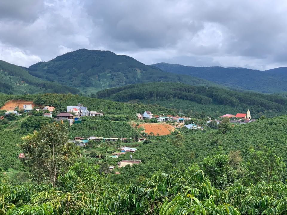 Đất nền Di Linh 1000m² giá 1.1 tỷ - Mặt đường bê tông thuận lợi!