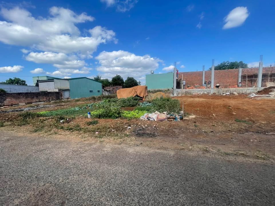 Đất nền chính chủ tại hẻm 02 Hải Thượng Lãng Ông, Gia Lai - 125m² chỉ 1.2 tỷ!