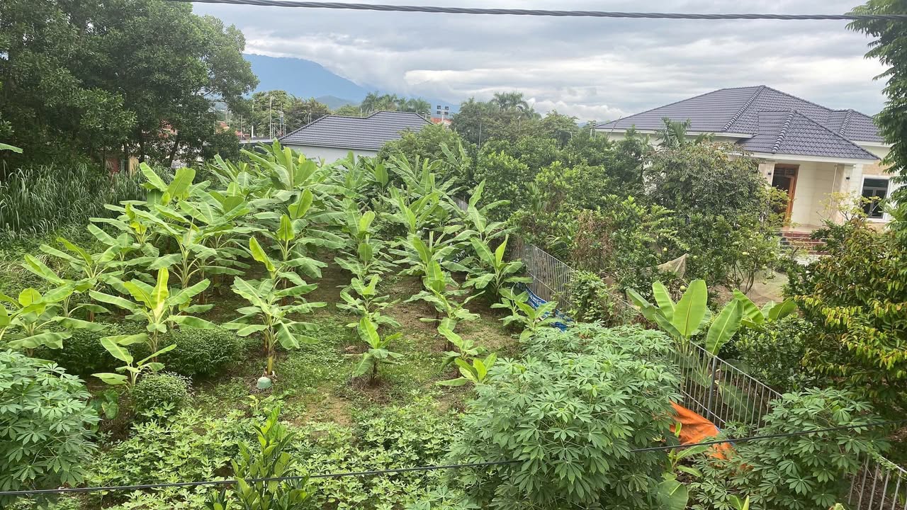 Đất thổ cư 200m² mặt TL 317 - Khu 5 Bảo Yên giá chỉ 2x triệu - Cơ hội đầu tư tuyệt vời!