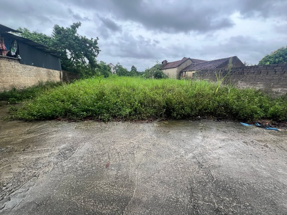 Đất Cầu Trang - Xuân Cẩm, Bắc Ninh 300m² giá 1 tỷ - Đầu tư sinh lời nhanh!