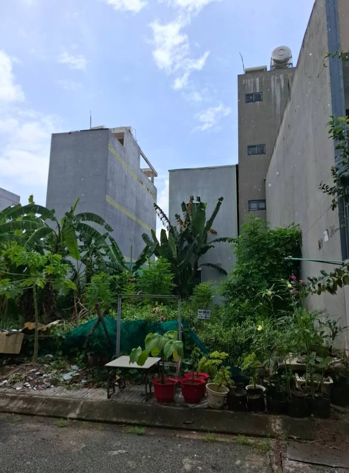 Đất nền đường 12 Trường Thạnh 52m² chỉ 2.85 tỷ - Cơ hội đầu tư tuyệt vời!