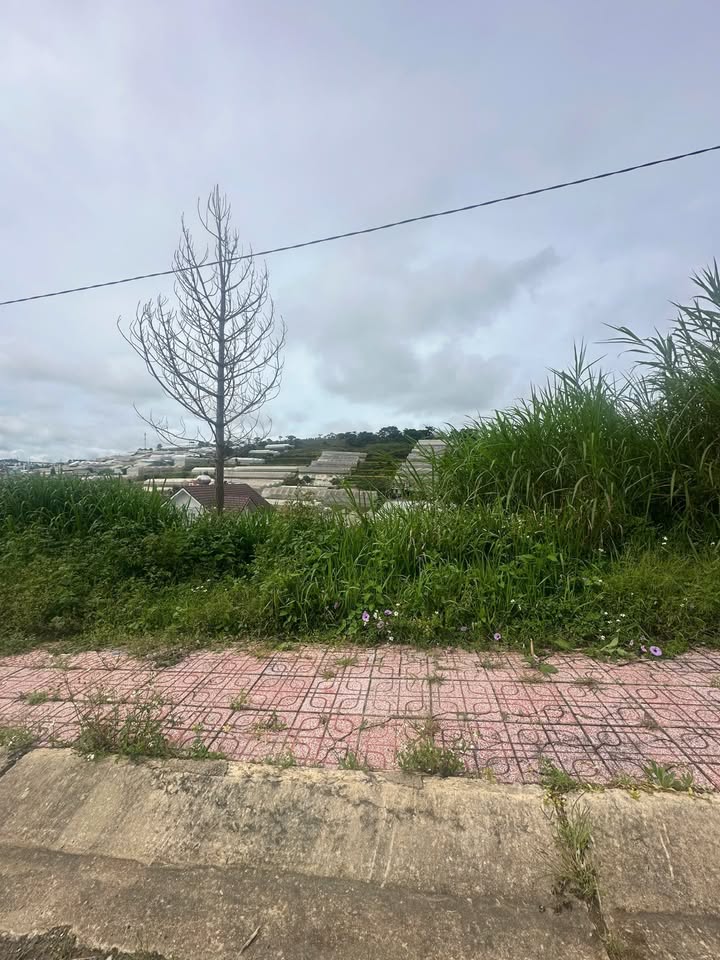 Đất KQH Nguyễn Hoàng, Phường Langbiang, Đà Lạt 109m² giá 4.3 tỷ - Đầu tư sinh lời ngay!