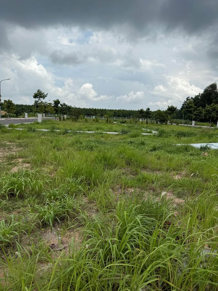 Đất nền Tân Hiệp, Tân Uyên 1857m² - Pháp lý rõ ràng, đầu tư sinh lời!