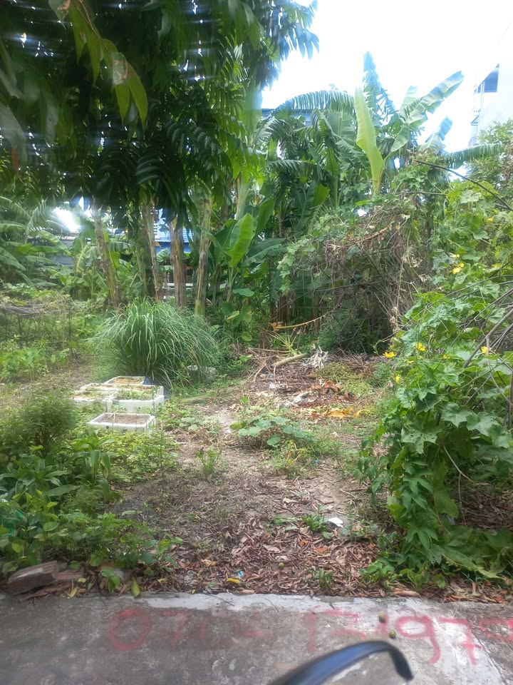 Lô đất An Đồng, Hải Phòng 100m² giá 3 tỷ - Tiềm năng tăng giá vượt trội!