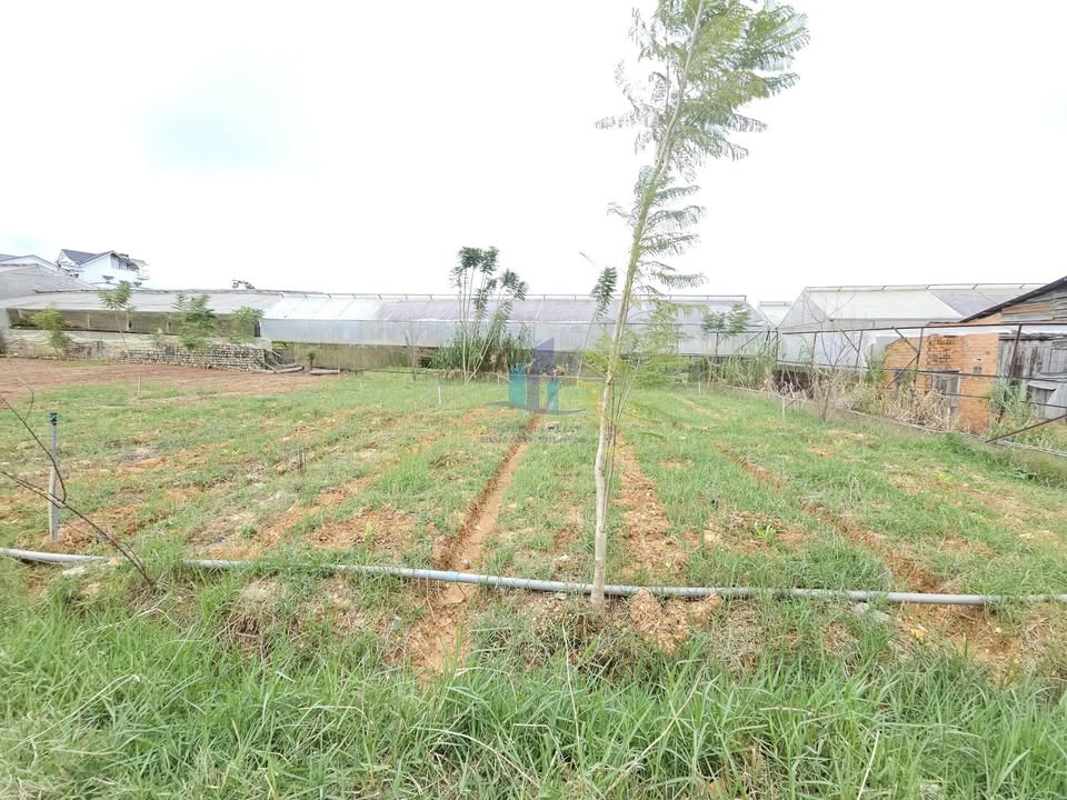 Đất nền đường Nguyên Tử Lực, Đà Lạt 891.85m² giá 20 tỷ - Đầu tư sinh lời lý tưởng!