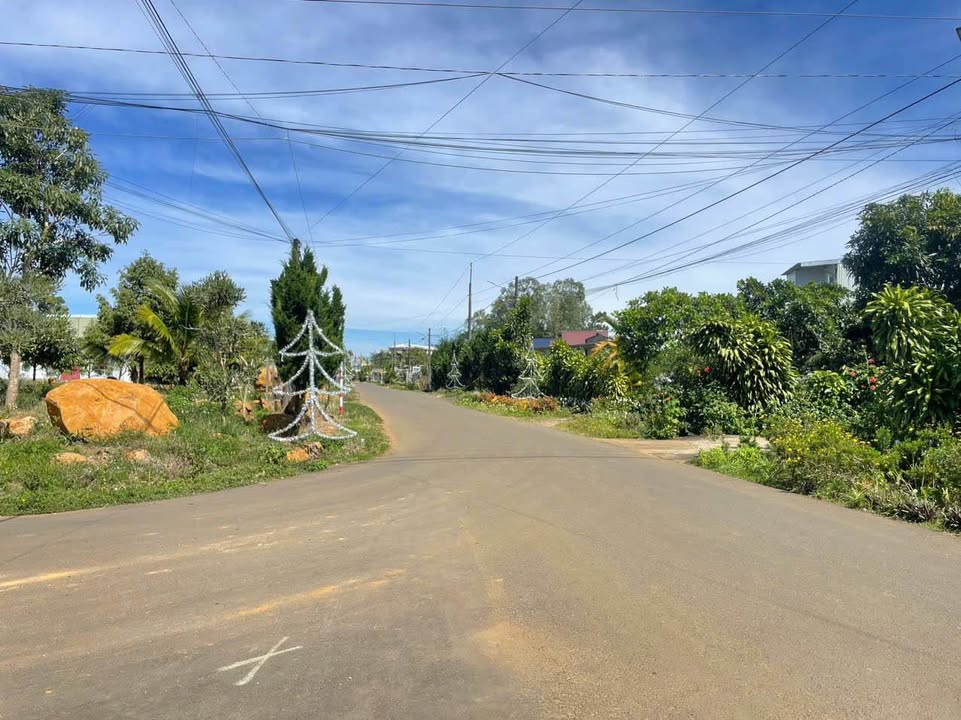 Đất thổ cư 3600m² tại Đà Lạt - Sổ hồng chính chủ, vuông vắn lý tưởng!