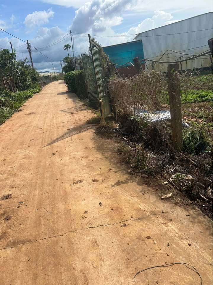 Đất nền xã Ka Đô Đơn Dương 556m² giá chỉ 800 triệu - Cơ hội đầu tư hấp dẫn!