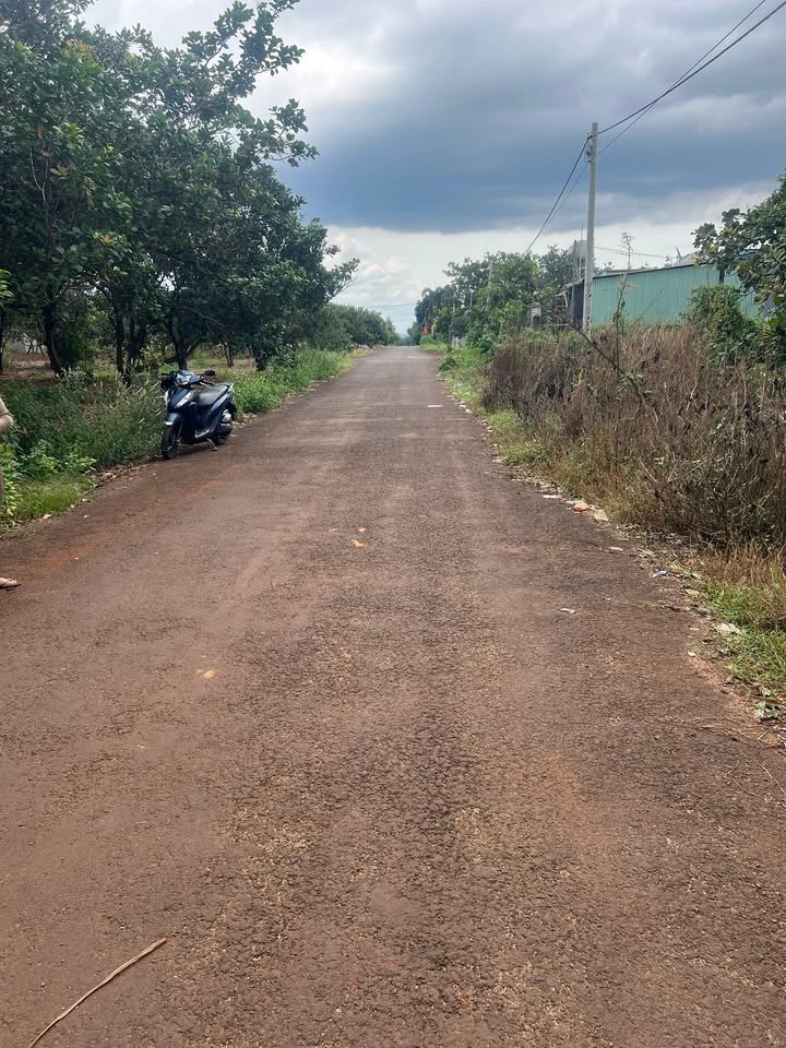 Đất Đa Kia, Bù Gia Mập 174m² giá 145 triệu - Đường nhựa thông, vị trí đắc địa!