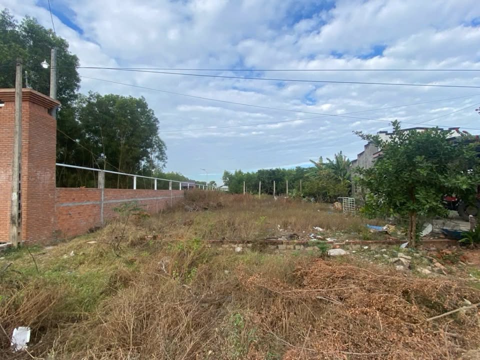 Bán đất mặt tiền Trần Quang Diệu, Tân Phước, 1.073m² - Đầu tư sinh lời bền vững!