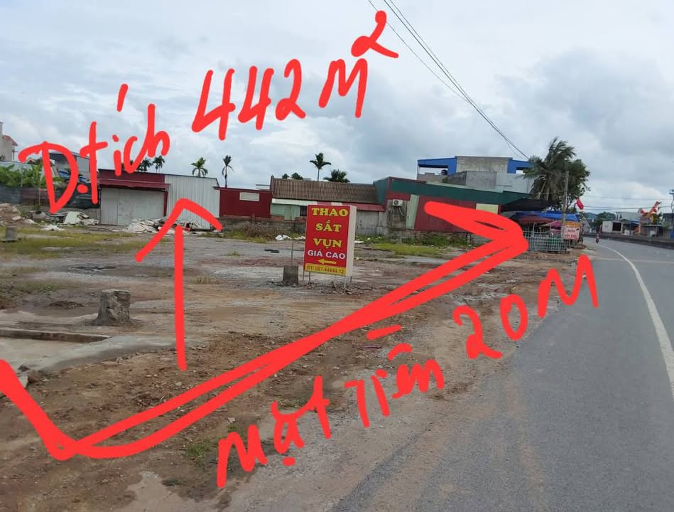 Đất nền 442m² tại An Dương, Hải Phòng - Giá chỉ 11.49 tỷ, cơ hội đầu tư tuyệt vời!