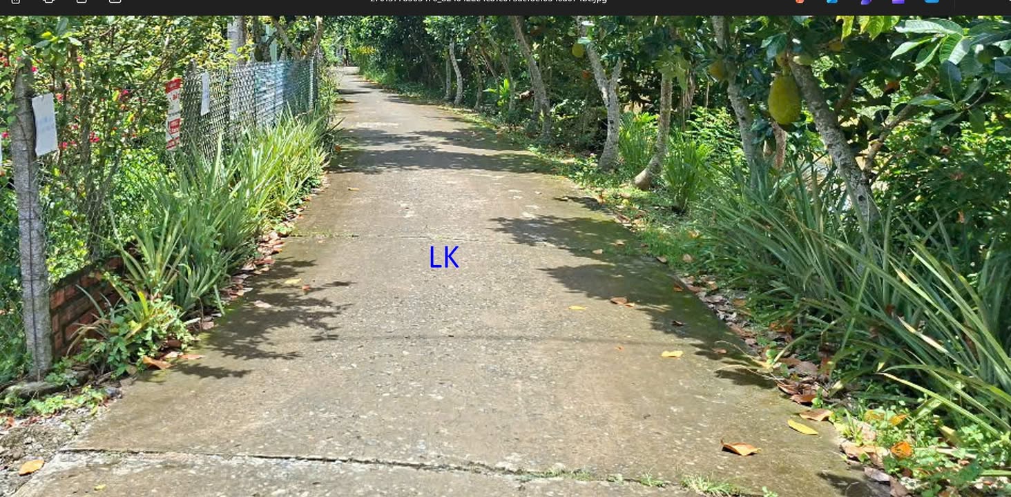 Đất nền 350m² xã Bình Hàng Tây, Huyện Cao Lãnh - Giá 700 triệu, chính chủ sổ đỏ!