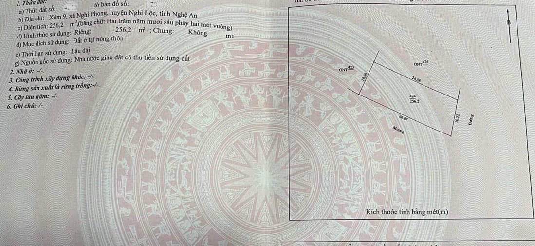 Đất nền Nghi Phong 256,2m² giá 3,2 tỷ - Đầu tư lý tưởng gần ĐH Y và CĐSP!