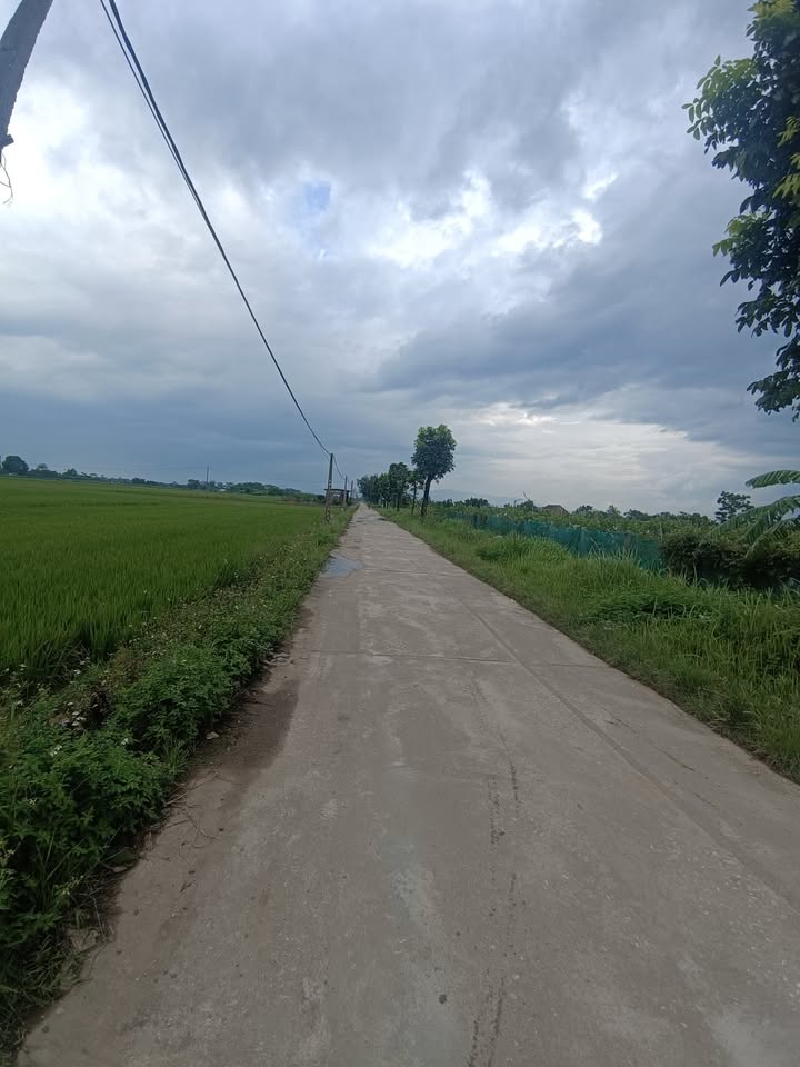 Đất nông nghiệp 7200m² tại Hưng Đạo, Quốc Oai - Giá chỉ 500 triệu