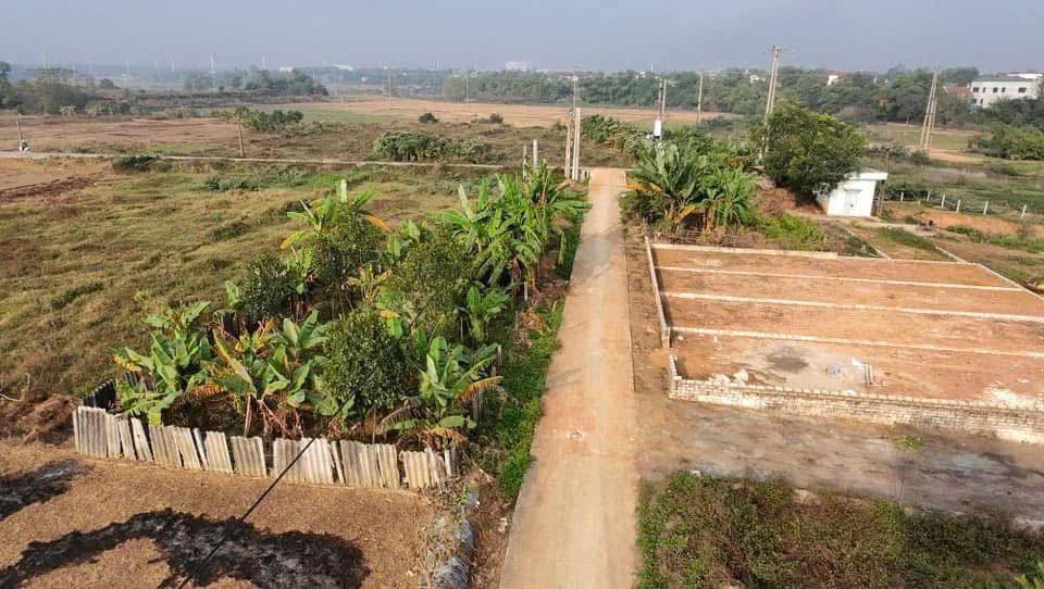 Đất thổ cư 100m² tại Thôn Đồi Phe, Thạch Thất - Đầu tư lợi nhuận cao!