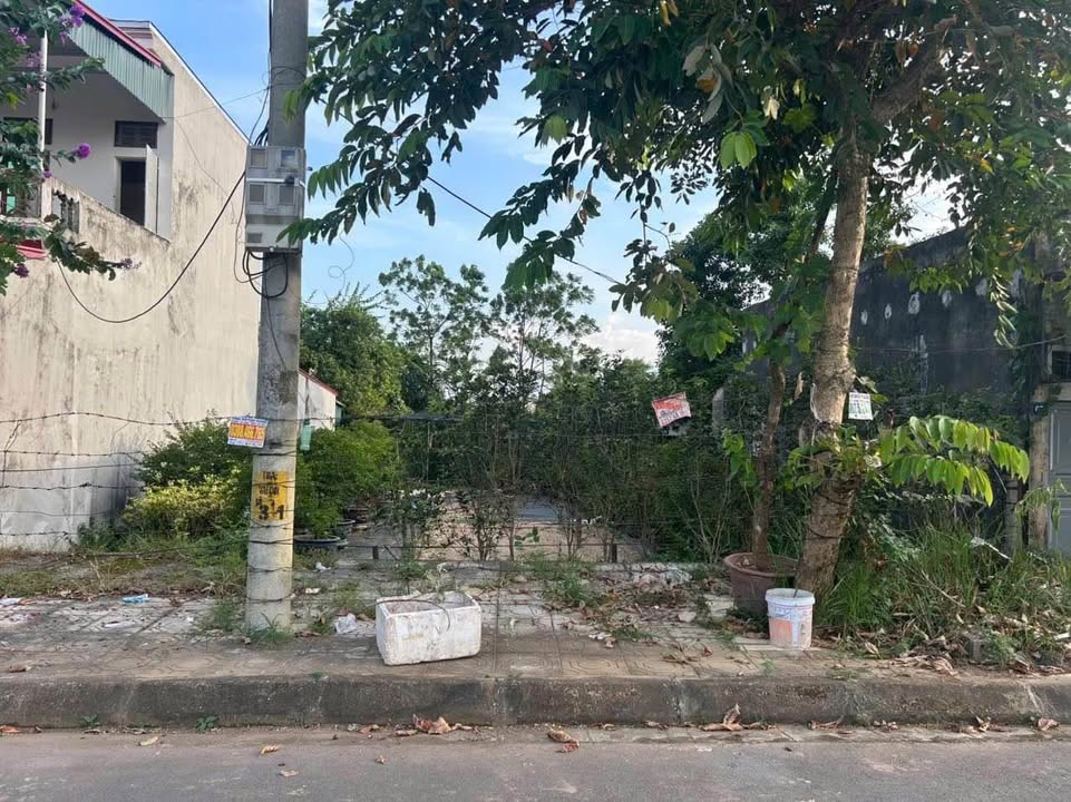 Đất thổ cư tại phường Tùng Thiện, Sơn Tây, Hà Nội 92m² giá 3 tỷ - Cơ hội đầu tư hấp dẫn!