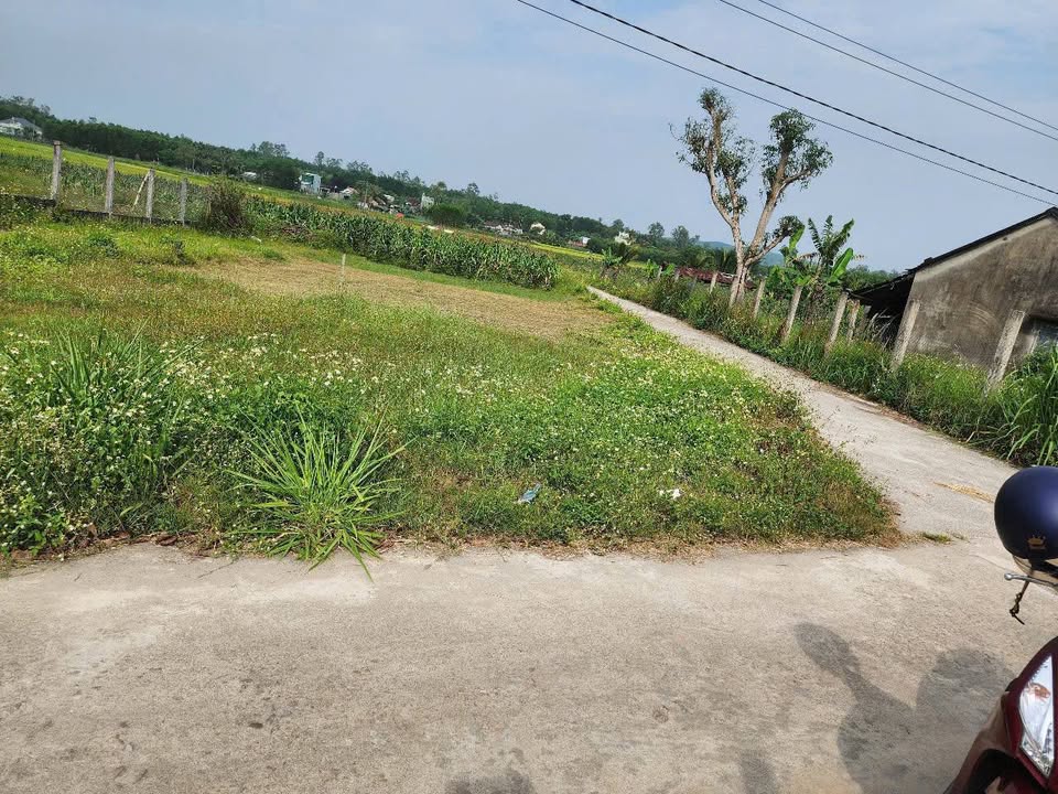 Đất thổ cư Tịnh Bình 1749m² giá 1.2 tỷ - Cần tiền gấp, thương lượng tốt!