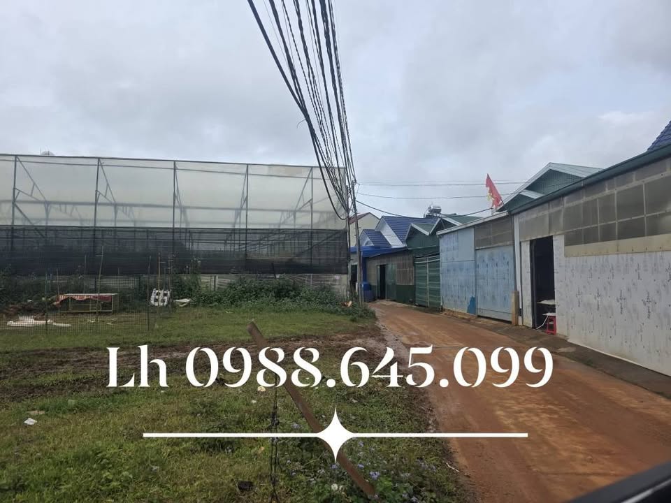 Đất nền chính chủ tại Langbiang, Đà Lạt 91,5m² - Cơ hội đầu tư lý tưởng!