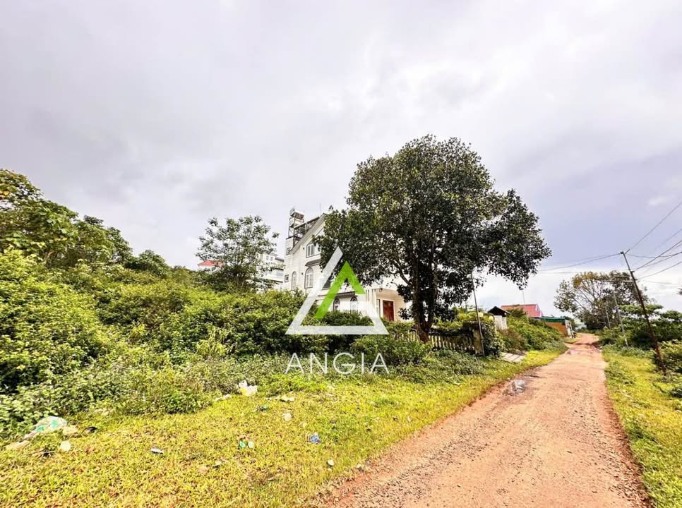 Đất nền Đà Lạt 216m² giá 4.9 tỷ - Đường ô tô, pháp lý rõ ràng!