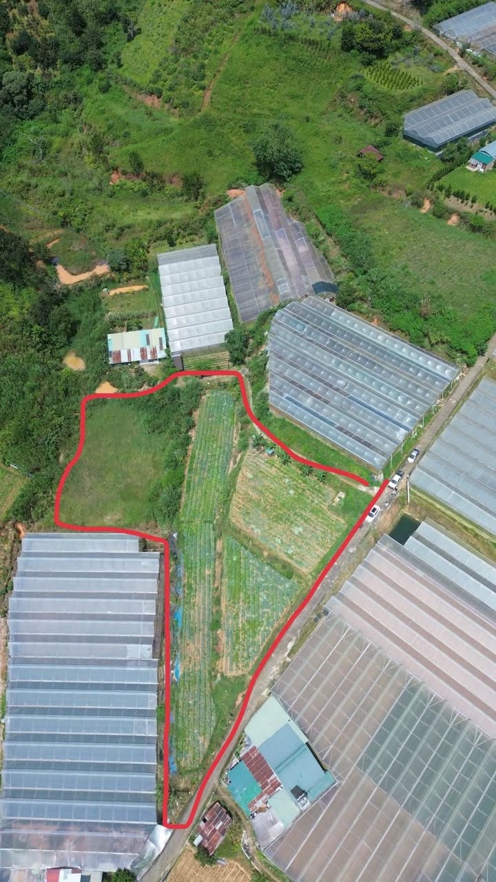 Đất nền khu Quảng Thừa, Đà Lạt 4200m² - Cơ hội đầu tư hấp dẫn!