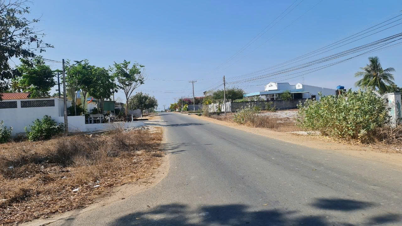 Đất nền 516m² tại Trần Quang Diệu, La Gi - Đầu tư sinh lời tuyệt vời!