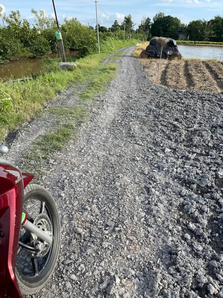 Đất nền đường Đá Xanh Kênh, xã Tân Điền, 332m² - Cơ hội đầu tư không thể bỏ lỡ!