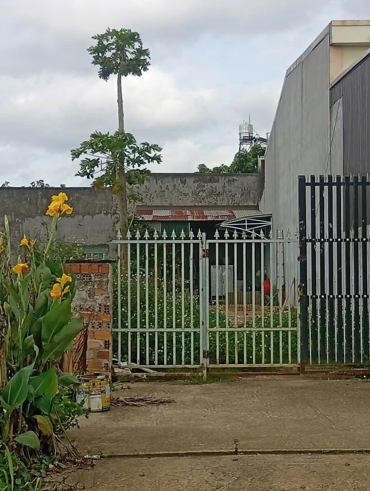 Đất mặt tiền đường Bà Triệu, Đức Trọng, Lâm Đồng 170m² - Sổ đỏ chính chủ, giá tốt!