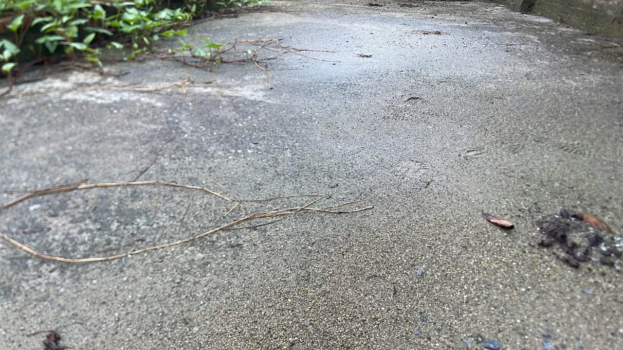 Đất nền Sen Hồ, Gia Lâm 86m² giá 3.5 tỷ - Cơ hội đầu tư tuyệt vời!