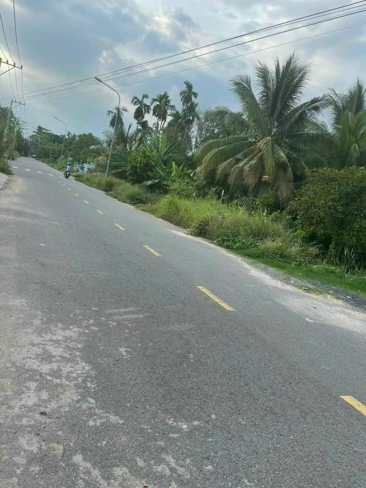 Bán nhà vườn Bình Dương mặt tiền đường An Sơn 1, diện tích 1144m² - Đầy đủ tiện nghi nghỉ dưỡng!