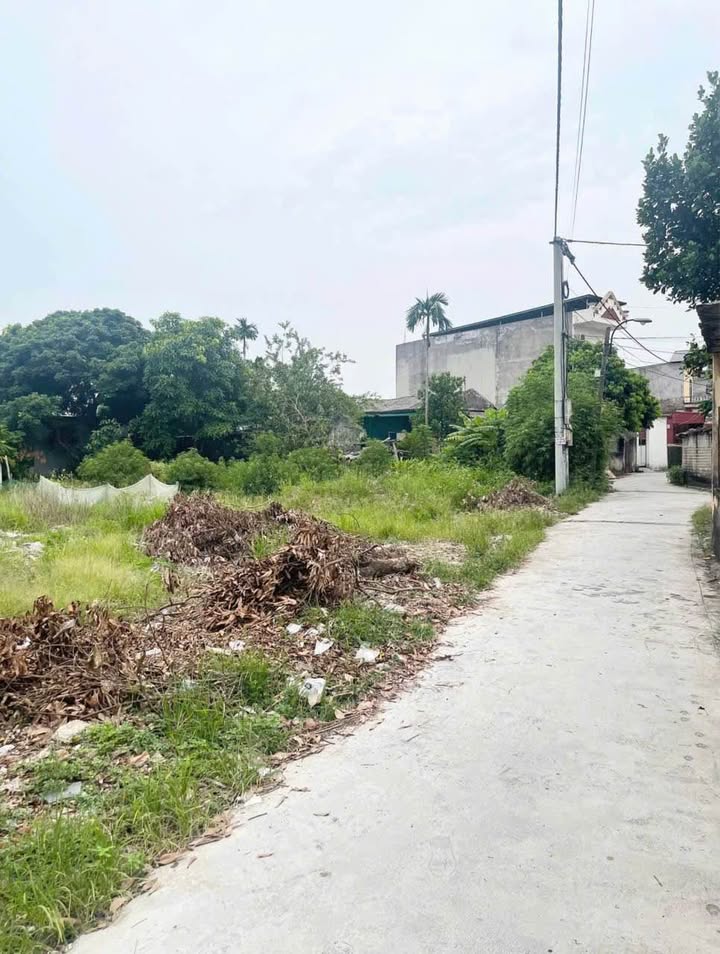 Đất nền khu Cương Xá, phường Tân Hưng, Hải Dương 280m² giá chỉ 3.9 tỷ - Đầu tư sinh lời ngay!