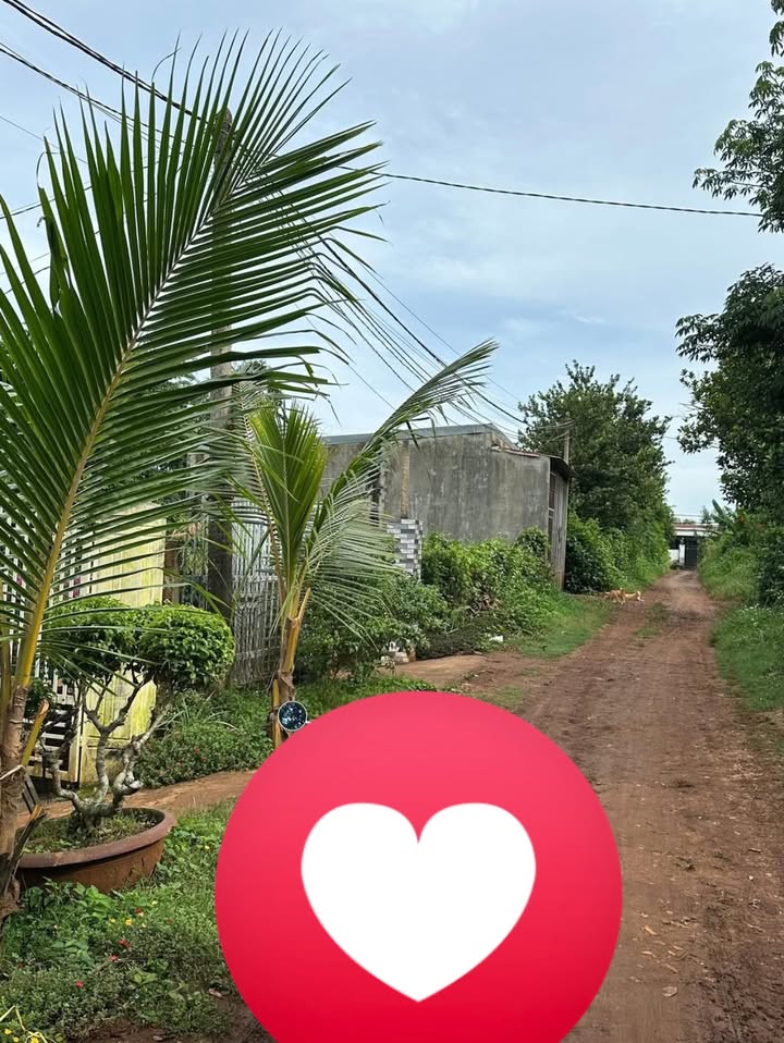 Đất nền hẻm lớn Lương Thế Vinh, Buôn Hồ 175m² giá chỉ 750 triệu - Cơ hội đầu tư hấp dẫn!