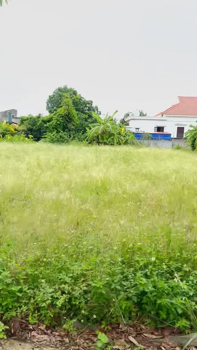 Đất nền Tây Tiến - Tiền Hải 192m² giá chỉ 8xx triệu - Full thổ cư, đường thông xe tải!