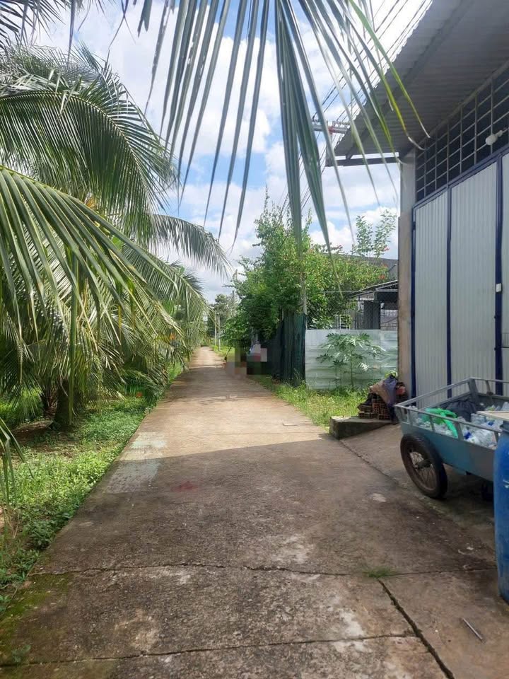 Đất Phường Phú Tân Bến Tre 79m² giá 375 triệu - Cơ hội đầu tư tốt!