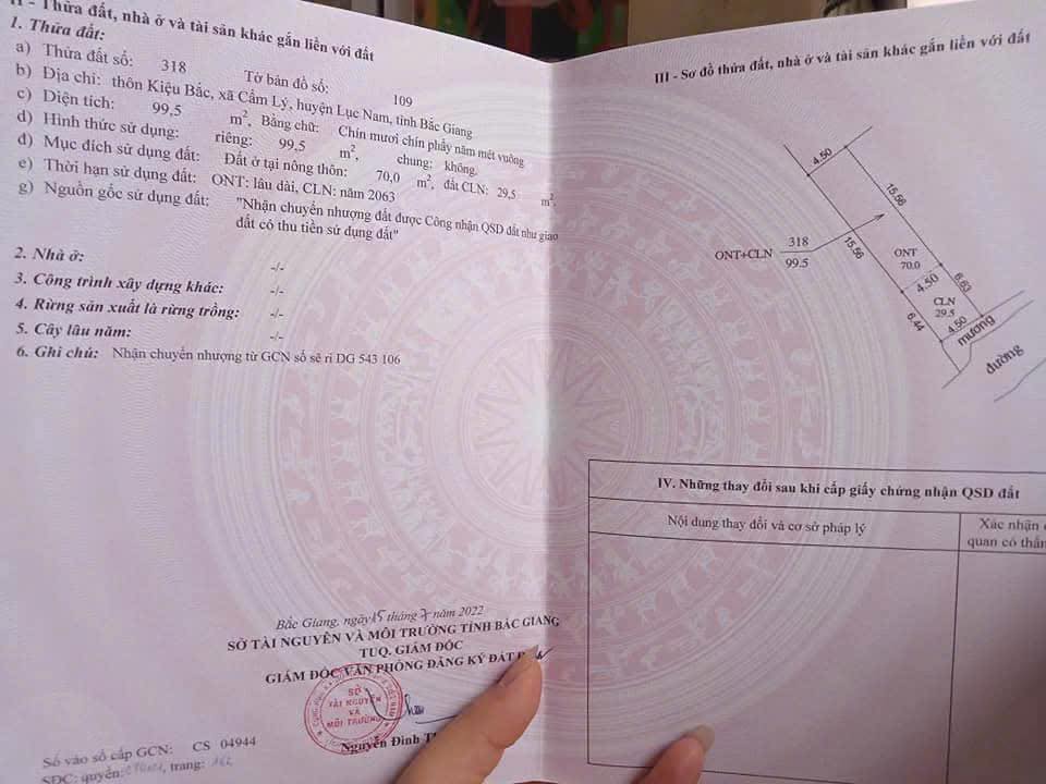 Đất thổ cư 100m² tại Lục Nam, Bắc Giang - Giá chỉ 300 triệu!