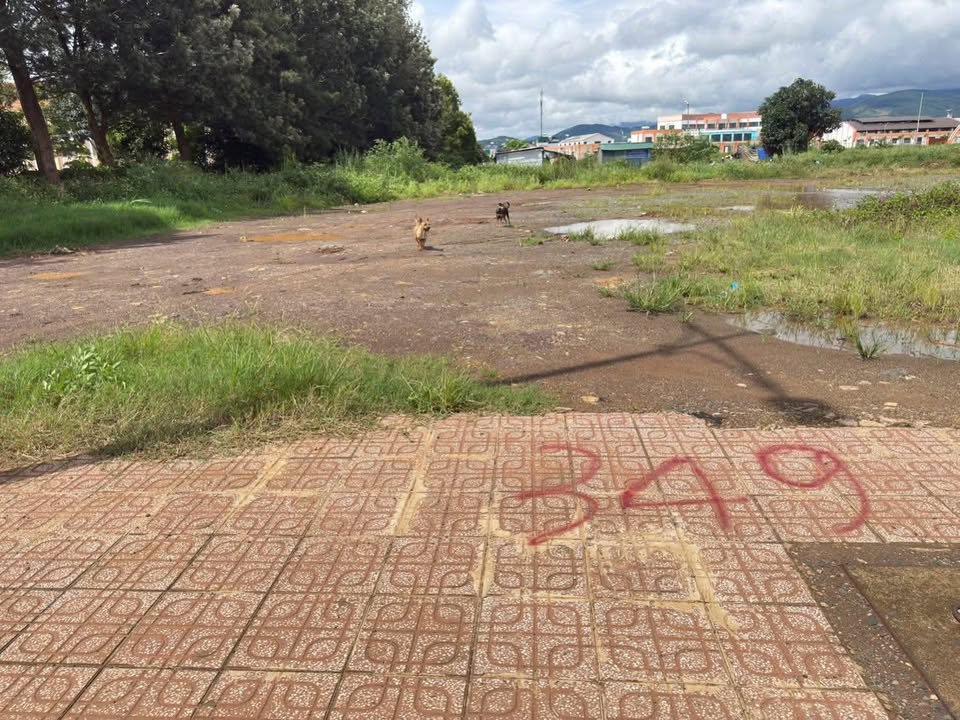 Đất nền 2 mặt tiền Phạm Ngũ Lão 300m² giá 8.2 tỷ - Cơ hội đầu tư tuyệt vời!