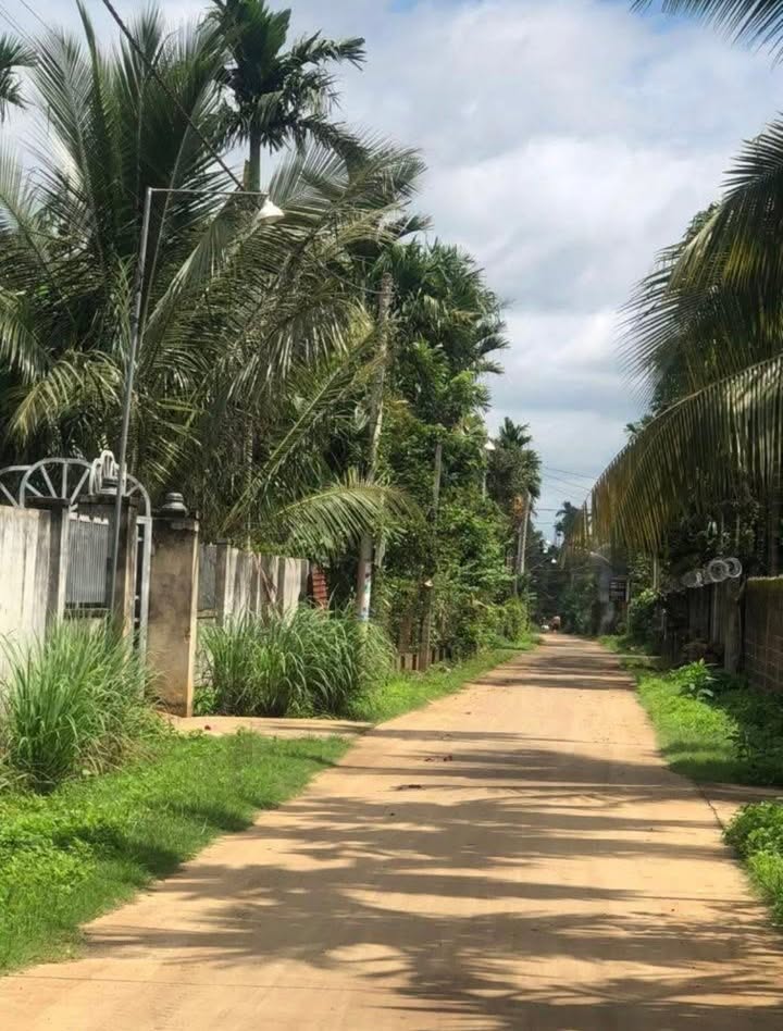 Đất thổ cư 500m² tại xã Ea Tiêu, huyện Cư Kuin, Đắk Lắk - Giá chỉ 5 tỷ