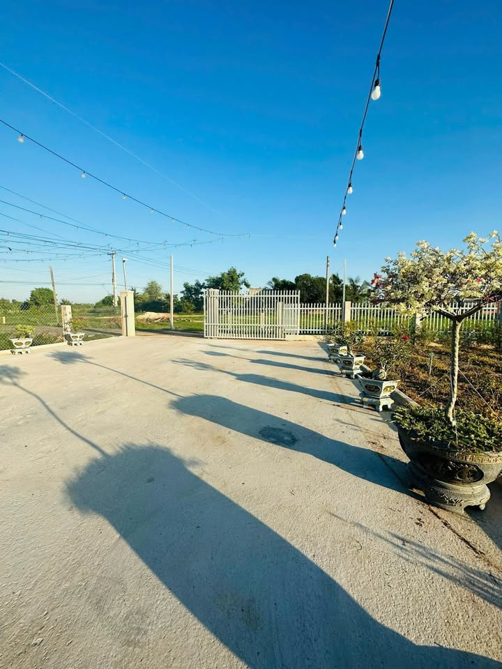 Farm thổ cư 1.4 sào tại Thuận Minh, Hàm Thuận Bắc - Giá chỉ 1.9 tỷ