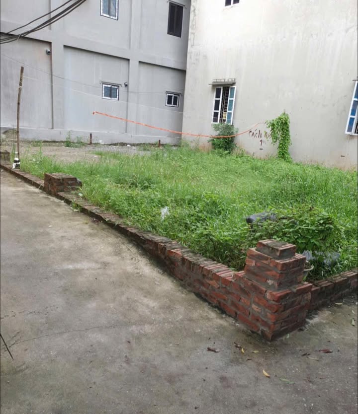 Đất nền Cự Khê Thanh Oai 52m² giá 4.3 tỷ - Lô góc đẹp, ngõ nông thoáng