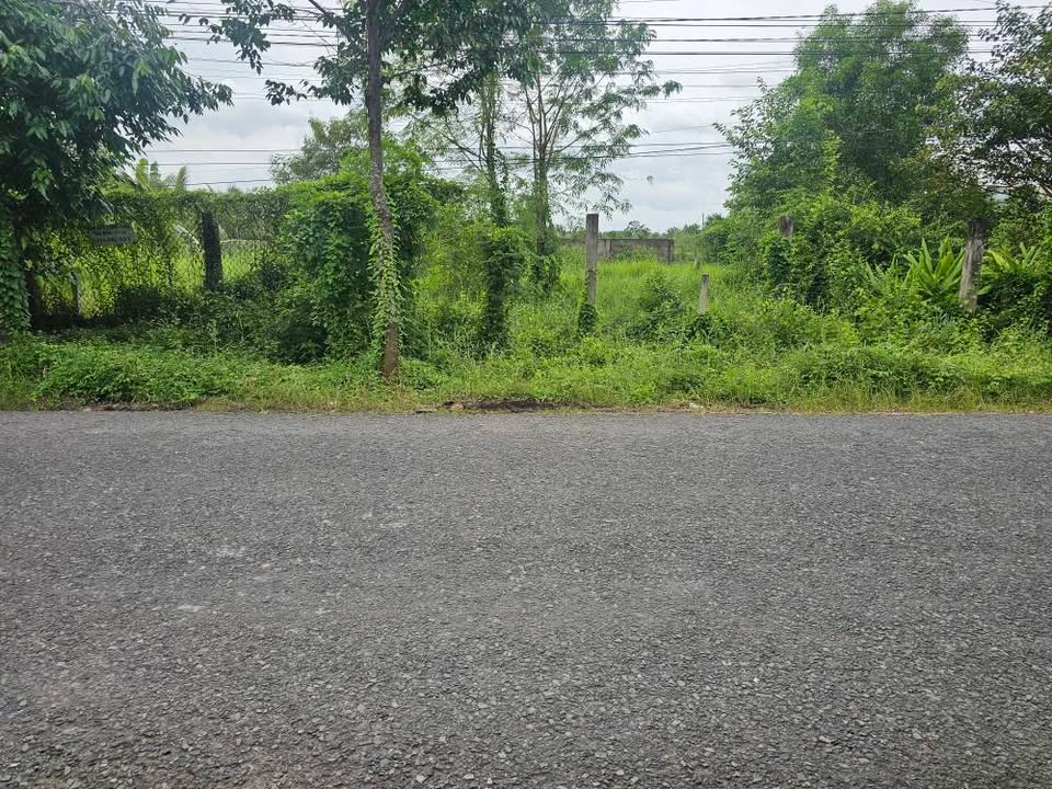 Đất mặt tiền đường Huyện Lộ 87, Mỹ Tho 273m² giá 2.35 tỷ - Nghỉ dưỡng lý tưởng!