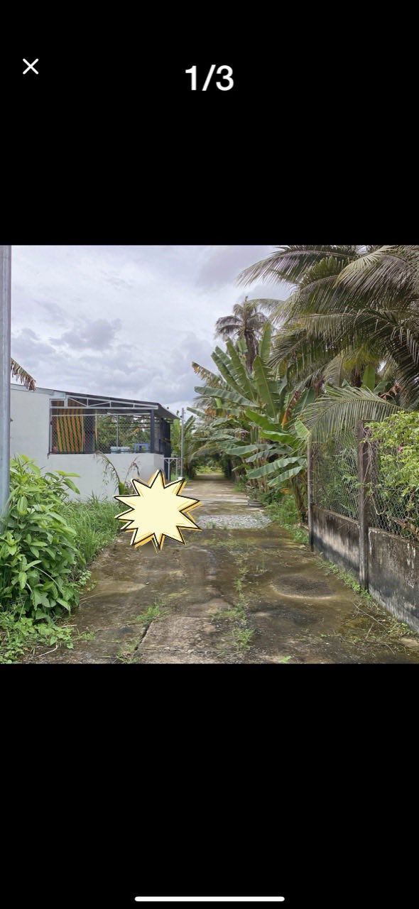 Đất nền Mỹ Thạnh An Bến Tre 84m² giá 460 triệu - Đầu tư sinh lời ngay!