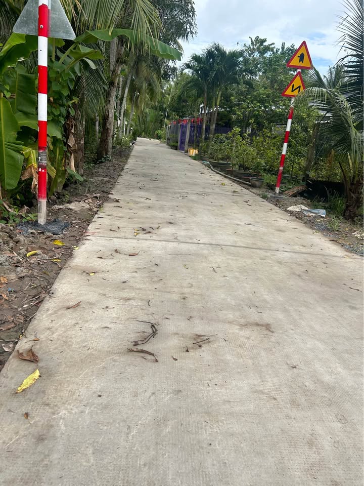 Đất nền biệt thự Sơn Đông Bến Tre 365m² giá 1.4 tỷ - Cơ hội đầu tư hấp dẫn!