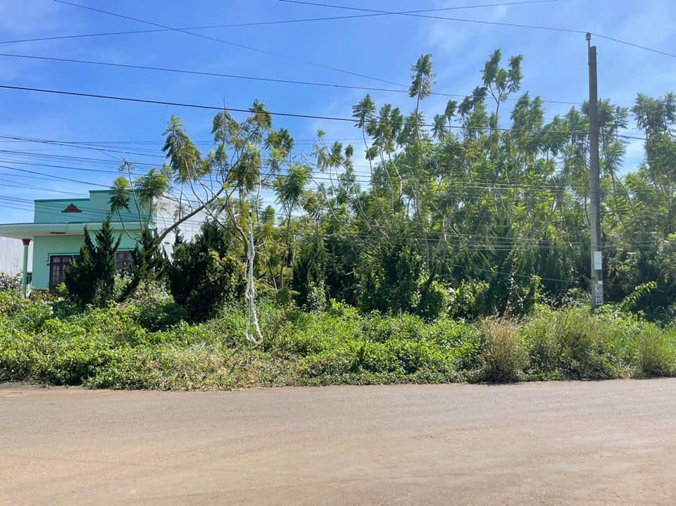 Đất nền Hẻm 60 Phan Chu Trinh, Bảo Lộc 3600m² - Sổ đỏ chính chủ, giá 13 tỷ!