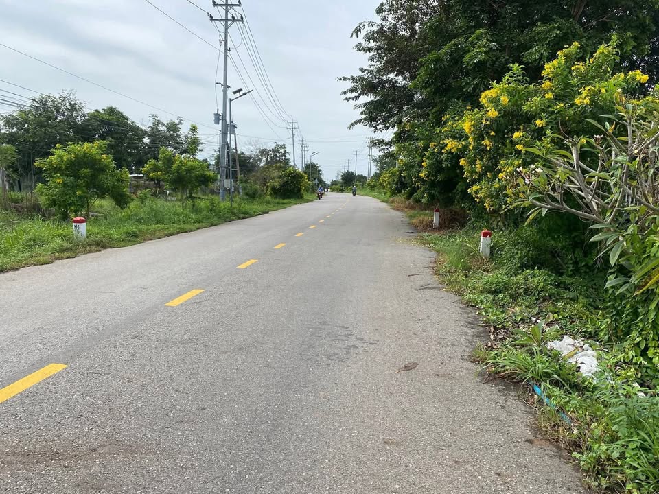 Đất vườn thanh long Hàm Thạnh 1430.6m² giá 700 triệu - Đầu tư sinh lời ngay!