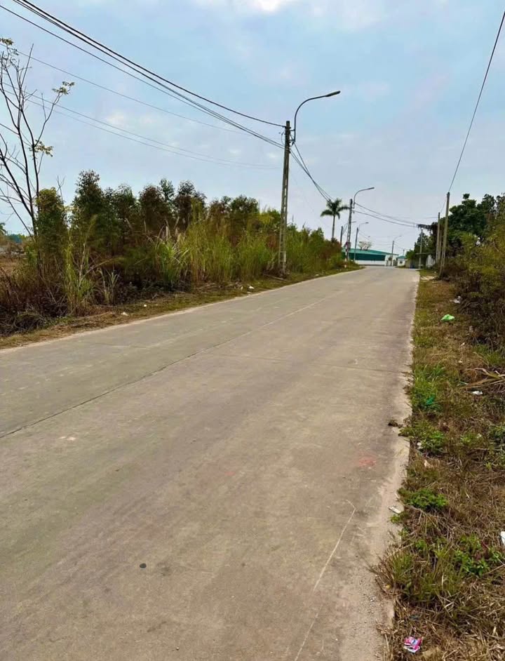 Lô đất góc 2 mặt tiền Thủy sản Móng Cái 186m² giá 800 triệu - Cơ hội hiếm cho nhà đầu tư!