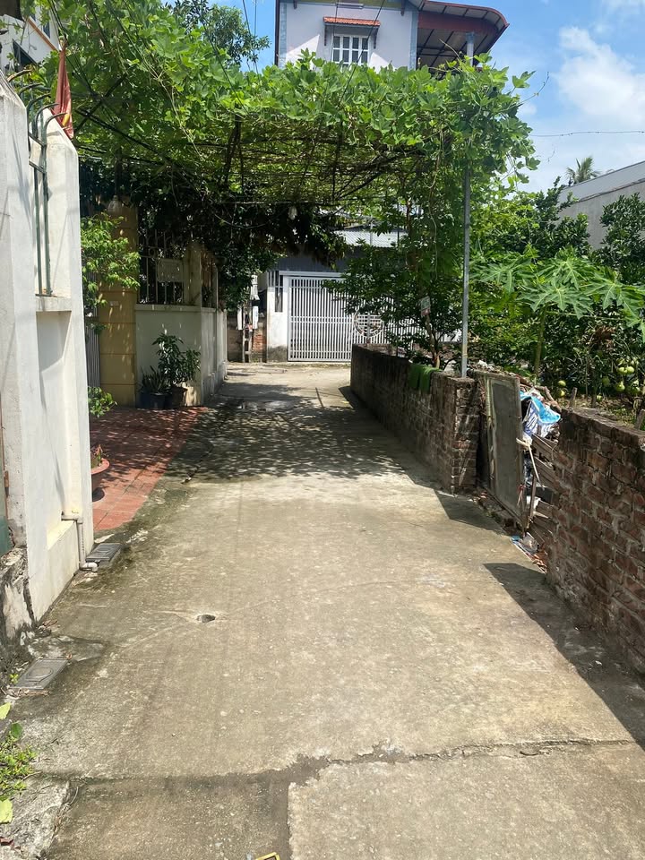 Đất nền Bình Minh Thanh Oai 106m² giá chỉ 7xx triệu - Ô tô vào tận nhà!