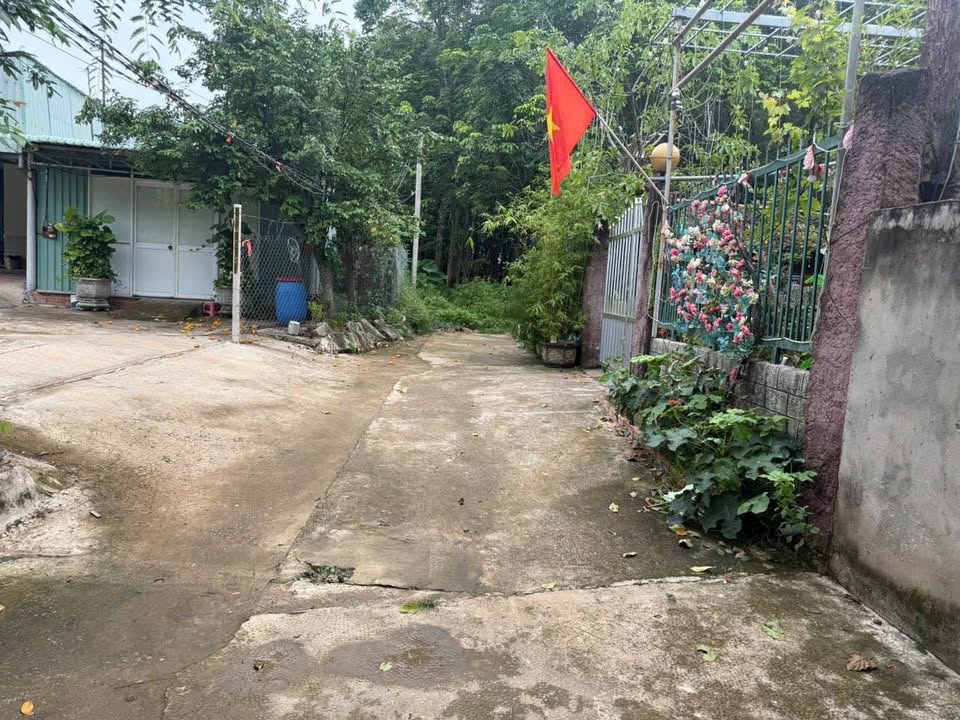 Đất thổ cư 185m² khu phố 2, phường Thới Hòa, giá 1 tỷ - Xây dựng tự do!