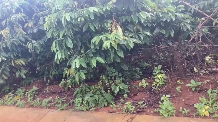 Đất nền Quảng Tân, Tuy Đức 22.400m² giá 4.8 tỷ - Cơ hội đầu tư hấp dẫn!