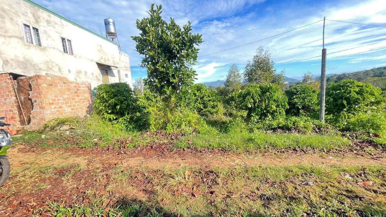 Đất hẻm 101 Lê Chân, Pleiku 170m² chỉ 325 triệu - Cơ hội đầu tư tuyệt vời!